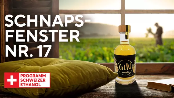 Schnapsfenster Royal Gin