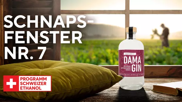 Schnapsfenster Dama Gin