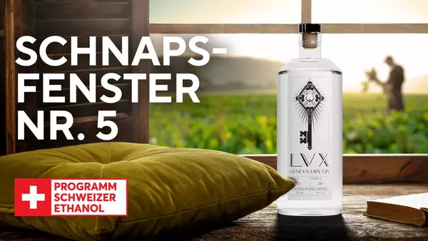 Schnapsfenster LVX Gin